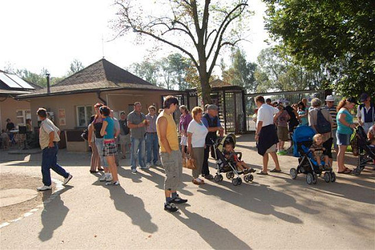 Výlet do ZOO v Plzni