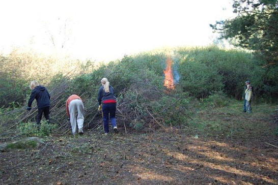Brigáda na ochranu prstnatce májového
