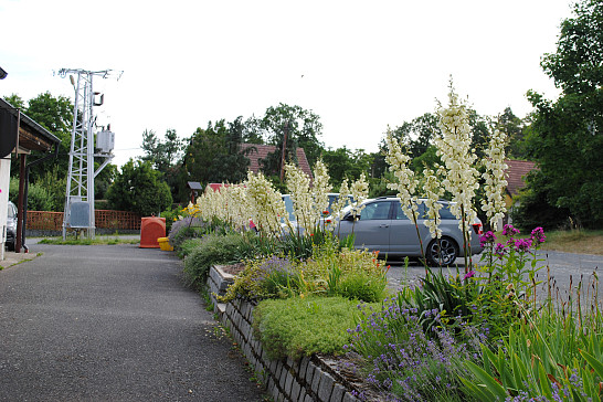 Trocha letošní krásy - 2019