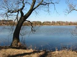 Rybníky v okolí Kadova