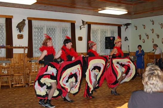 Setkání důchodců 2011