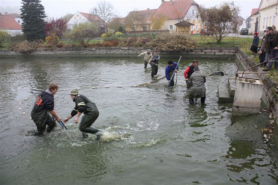 Výlov požární nádrže ve Vrbně 2011