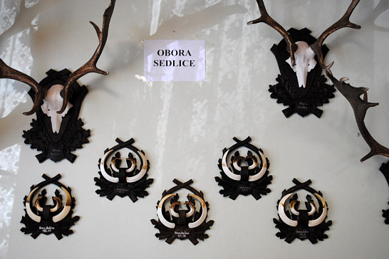 Myslivecká výstava v Kadově